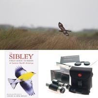 Binoculars, Birding & Book